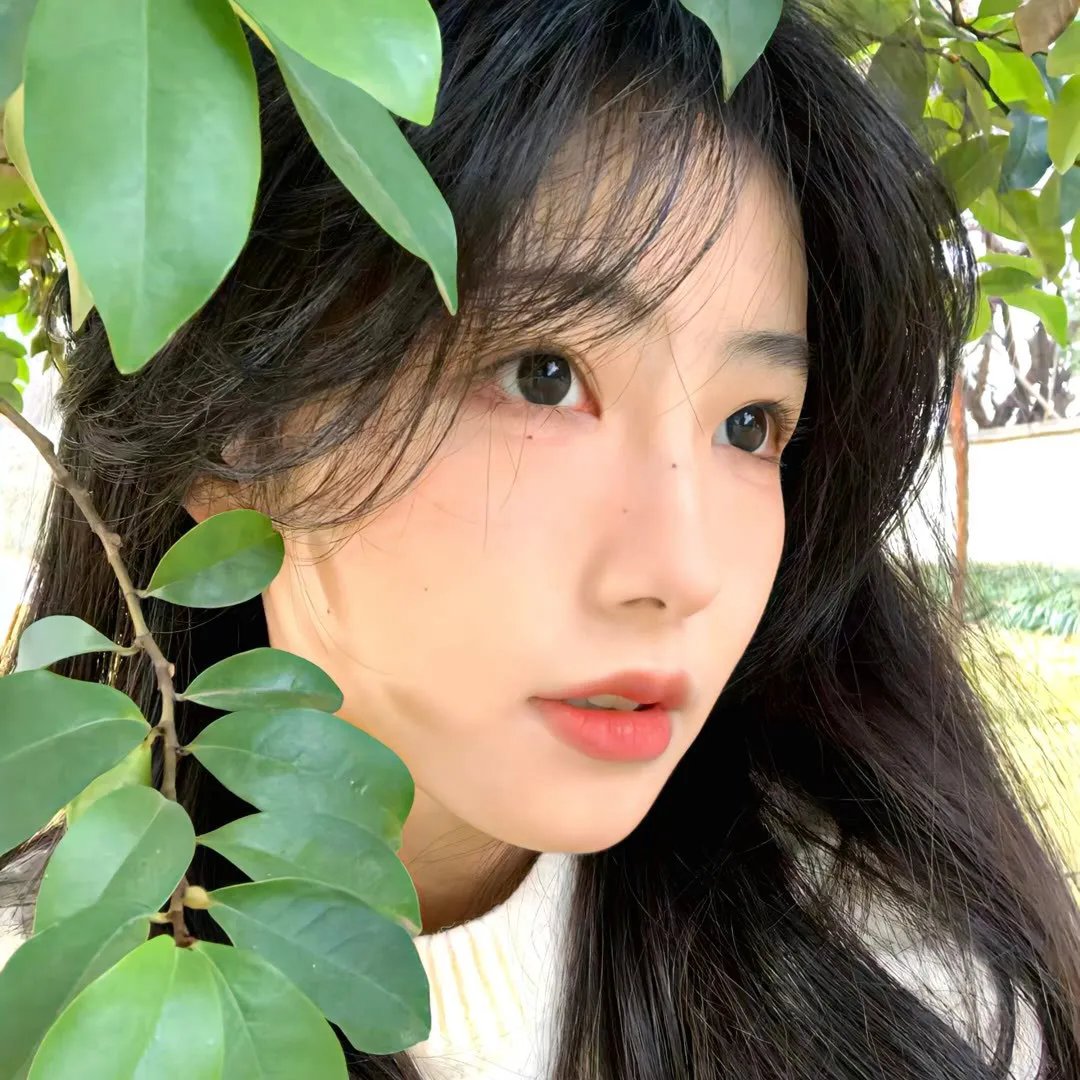 生命之书 海报